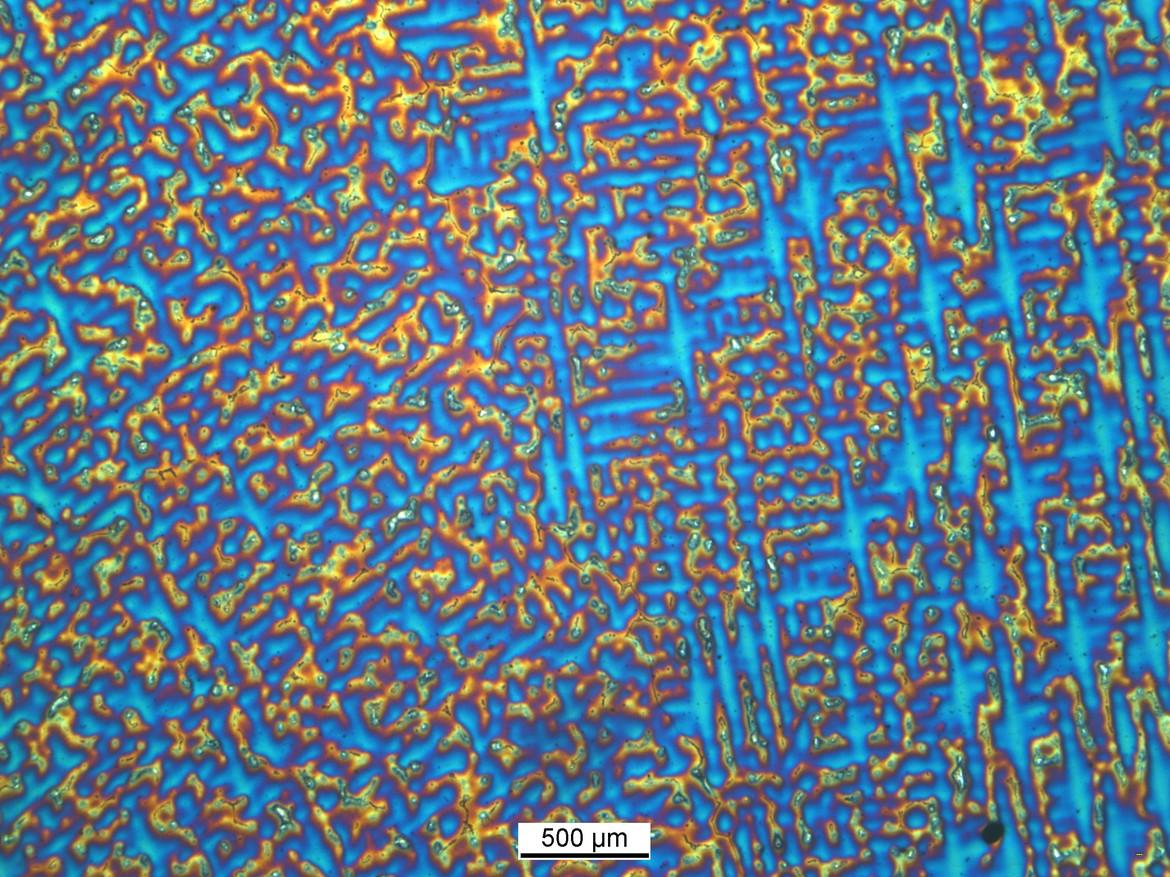 Schliffbild: Dendriten in polarisiertem Licht